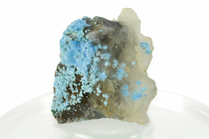 Vibrant Blue Cyanotrichite with Cubic Fluorite - China #238793